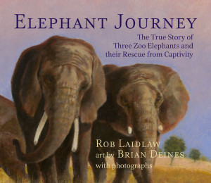 ElephantJourney_LR_RGB-2